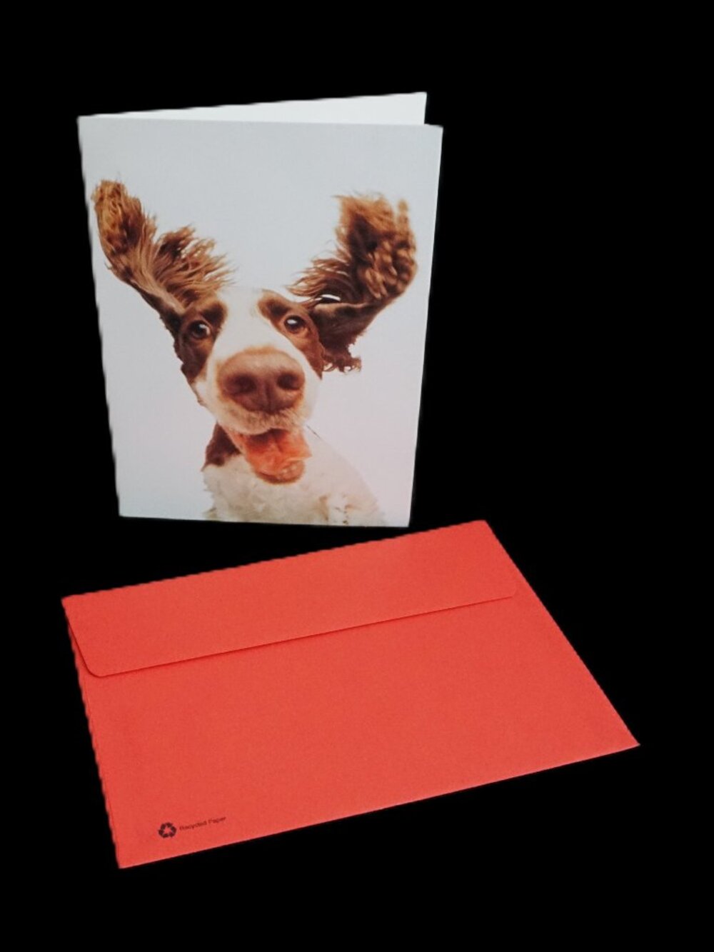 Vintage Hallmark Portal Floppy Ear Spaniel Wanna Play? Note Greeting Card